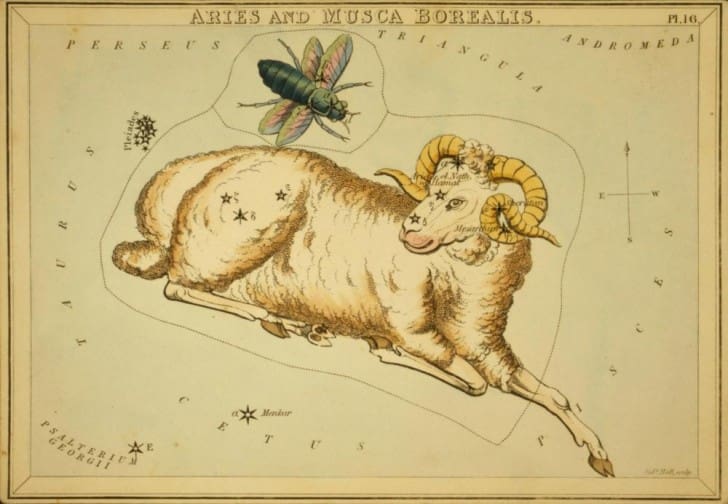 Aries Constellation Star Map