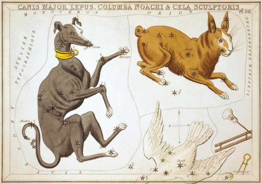 Constellation Canis Major Astrology