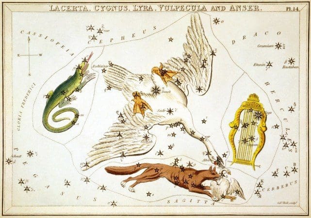 Constellation Lyra Astrology