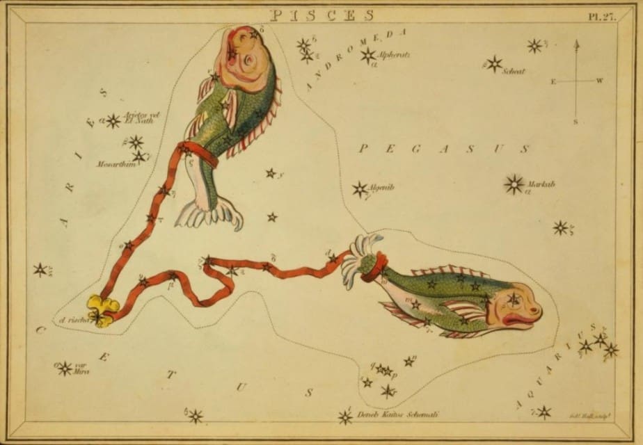 Constellation Pisces Astrology