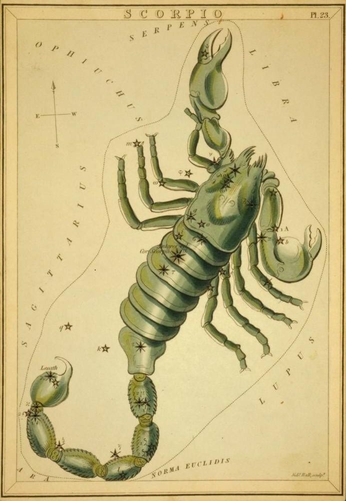 Constellation Scorpio Astrology