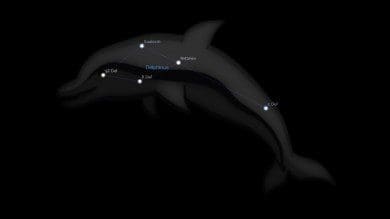 Delphinus Constellation Astrology