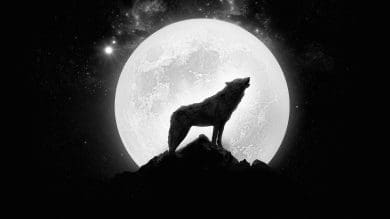 Full Moon May 2019 Astrology