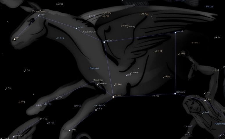 Pegasus Constellation