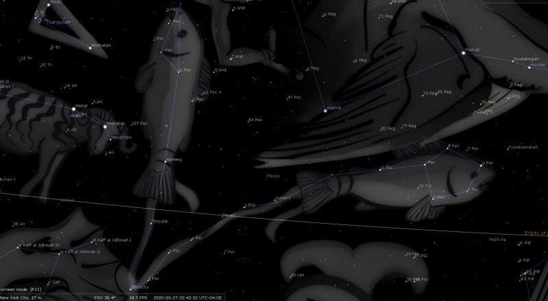 Pisces Constellation 