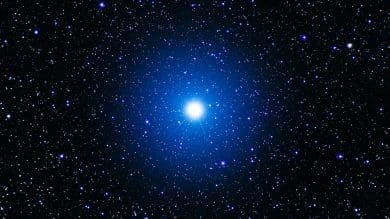Vega Star, Alpha Lyrae